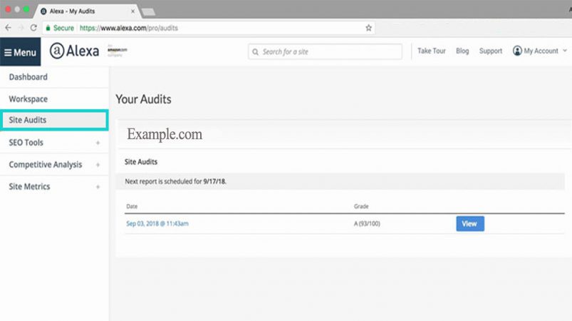 site audits
