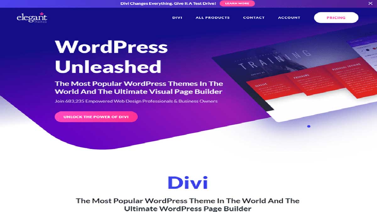 Divi تم های وردپرس