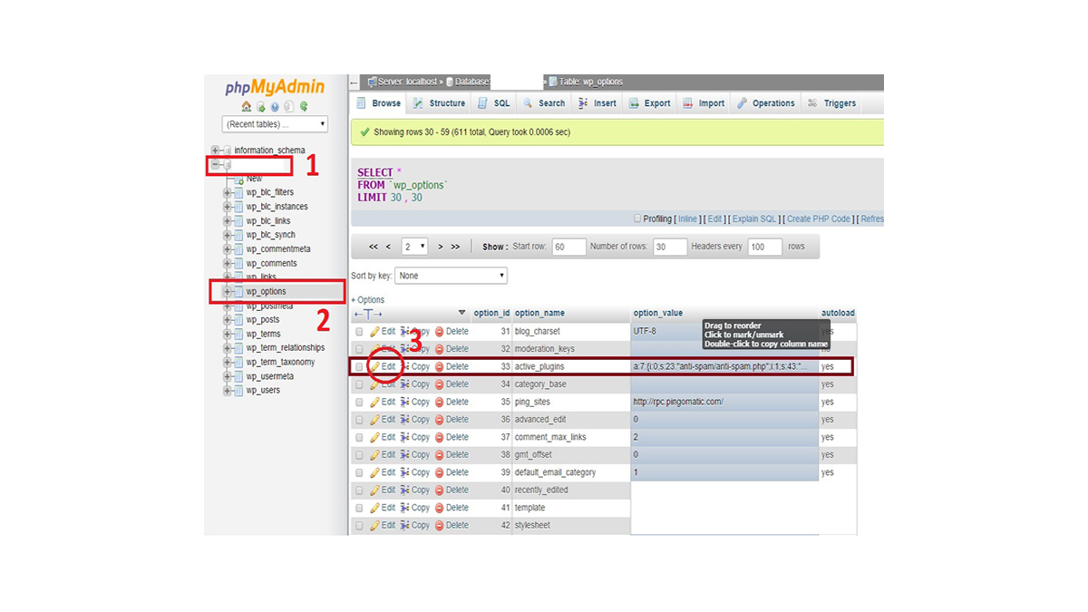 خطای نصب وردپرس