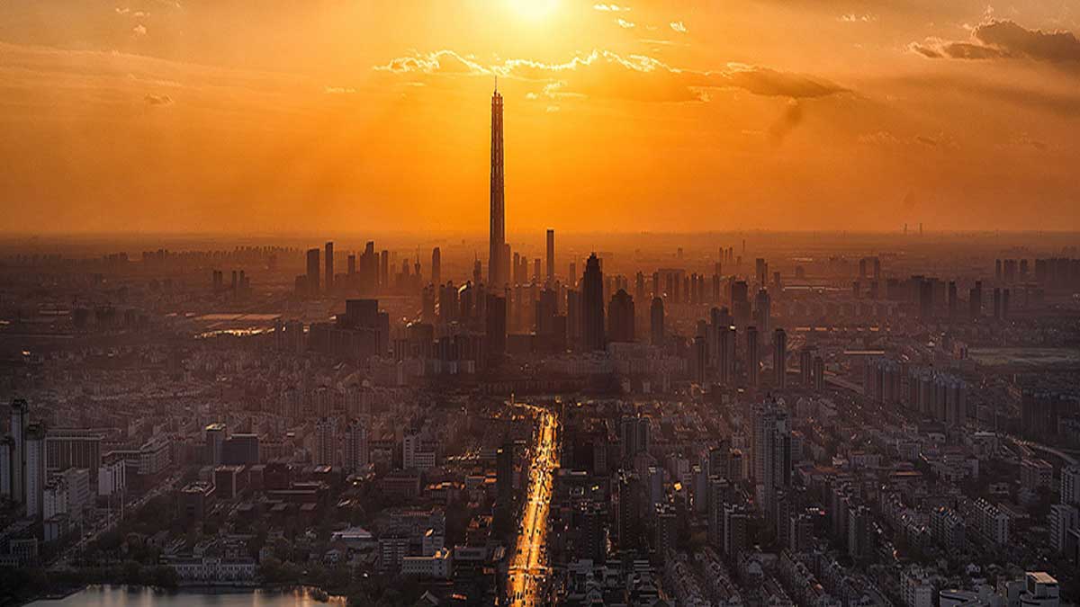 صادرات محصولات